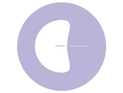 IVF-ICSI