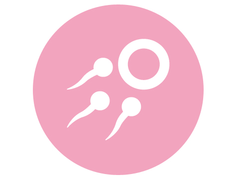 IUI—Artificial Insemination
