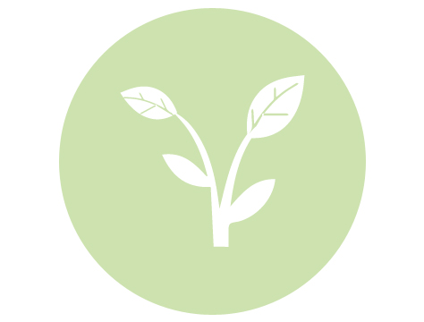 Natural Cycle IVF
