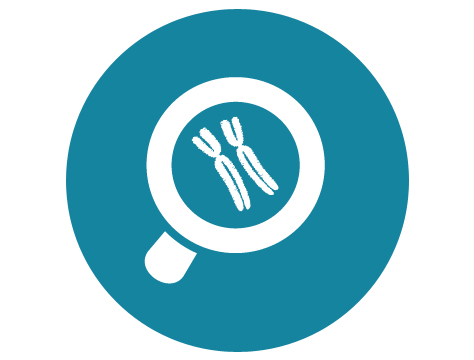 Genetic Testing at Fakih IVF