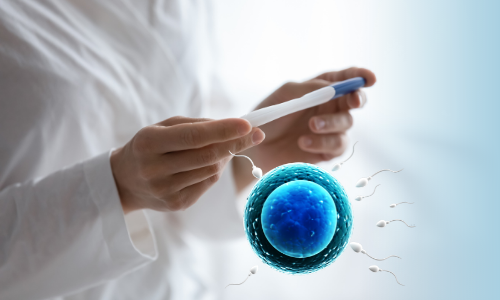 Do you have an Ovulation Disorder?